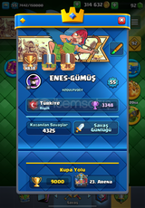 #838 SIRALAMALI CR+BS+COC+SB gelişmiş hesap