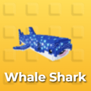 Shine Whale Shark Raise Animals