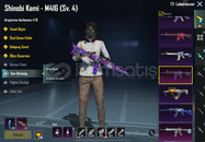 SHİNOBİ M4 4 SEVİYE + BUZ DİYARI M4 FULL HESAP 