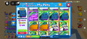 Shiny Man Face Dogcat Shiny Man Face Dogcat