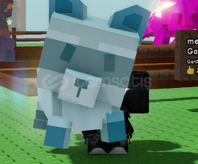 Shiny Raccoon Shiny Raccoon