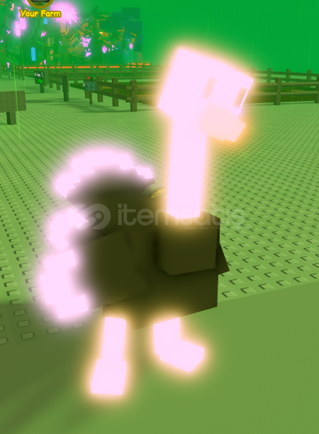 shocked ostrich shocked ostrich