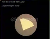 Shrouded golden sea pearl Shrouded golden sea pearl