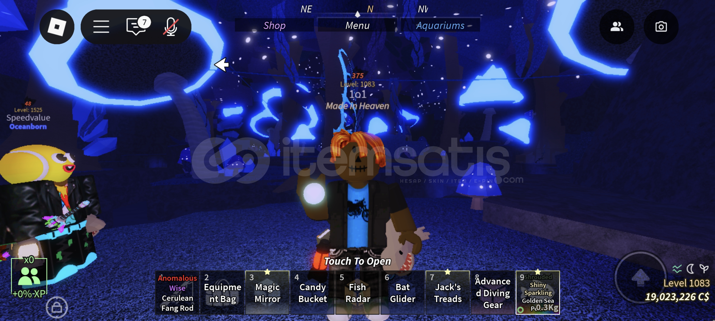 SHROUDED GOLDEN SEA PEARL