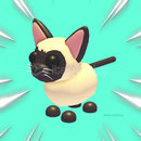 Siamese Cat En Uygunu! 