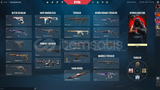 Sıfır Uğraş, Full Keyif: Skinli Valorant Hesabı