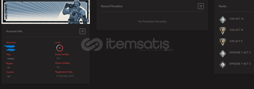 sihirpunk vandallı tertemiz hesab