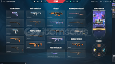 SİLVER MAİNLEMELİK HESAP