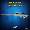 SINIRSIZ AWP BU FİYATA YOK