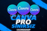 ⭐️[SINIRSIZ] CANVA PRO / KENDİ HESABINIZA 