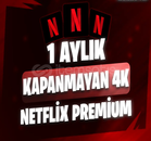 SINIRSIZ GARANTILI 1 AYLIK NETFLIX 4K HESAP