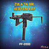 SINIRSIZ PP2000 230 TL