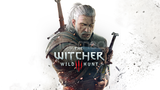 SORUNSUZ/SINIRSIZ The Witcher 3: Wild Hunt