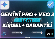 SINIRSIZ STOK 1 YILLIK GEMİNİ 3 PRO ŞAHSİ HESAP
