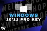 SINIRSIZ W10/W11 PRO LİSANS KEY