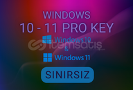 SINIRSIZ WİN 10 - 11 PRO KEY