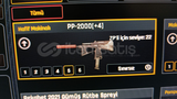 sınırsız pp 2000 +4