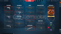 SIRÇİÇEĞİ KUANİ'li DOLU TR SERVER MAİLLİ HESAP