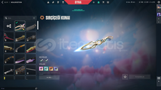 Sırçiçeği kunai bıçaklı yitik vandallı hesap