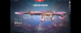 SırÇiçeği Setli + Asil Vandal Fırsat Hesap 