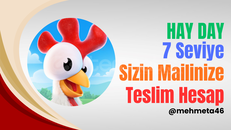⭐ Sizin Mailinize Teslim 7 Seviye Hesap