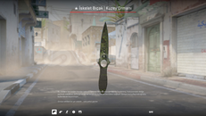 ★ Skeleton Knife | Boreal Forest ★ Skeleton Knife | Boreal Forest