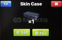 Skin Case 3X