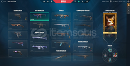 skinleriyle sizi tatmin edicek valorant hesabı