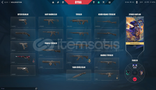 Skinli Plat 1 Valorant Hesabı