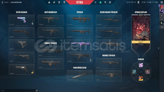 SKİNLİ PLAT VALORANT FRESH HESAP