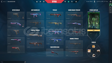 ⭐İYON VANDALLI TERTEMİZ SMURF HESAP⭐