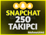 Snapchat 250 Takipçi
