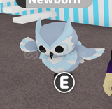 Snow Owl 1x R