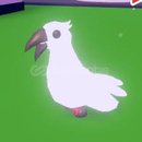 (SON 1 STOK) NFR CROWEN UCUZU!
