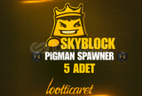 SONOYUNCU SKYBLOCK 5 ADET PİGMAN SPAWNER
