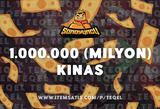  1M KİNAS [SONOYUNCU TİTANYUM]