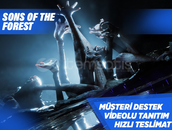 ✅ Sons Of The Forest 