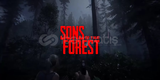 Sons Of The Forest + Garanti