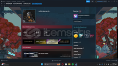 SOULS LİKE OYUNLARIN HESABI + PRİME + 149 DLC +