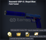 Souvenir USP-S Royal Blue Field Tested