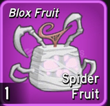 Spider fruit