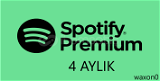 Spotify 4 AYLIK PROMOSYON KODU