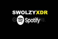 Spotify En Kullanışlı Method