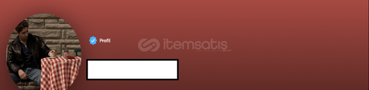 Spotify Mavi Tikli Profil Hesabı