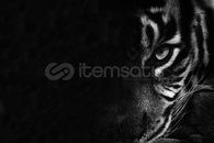 Spotify Podcast Kaldırılmama Method