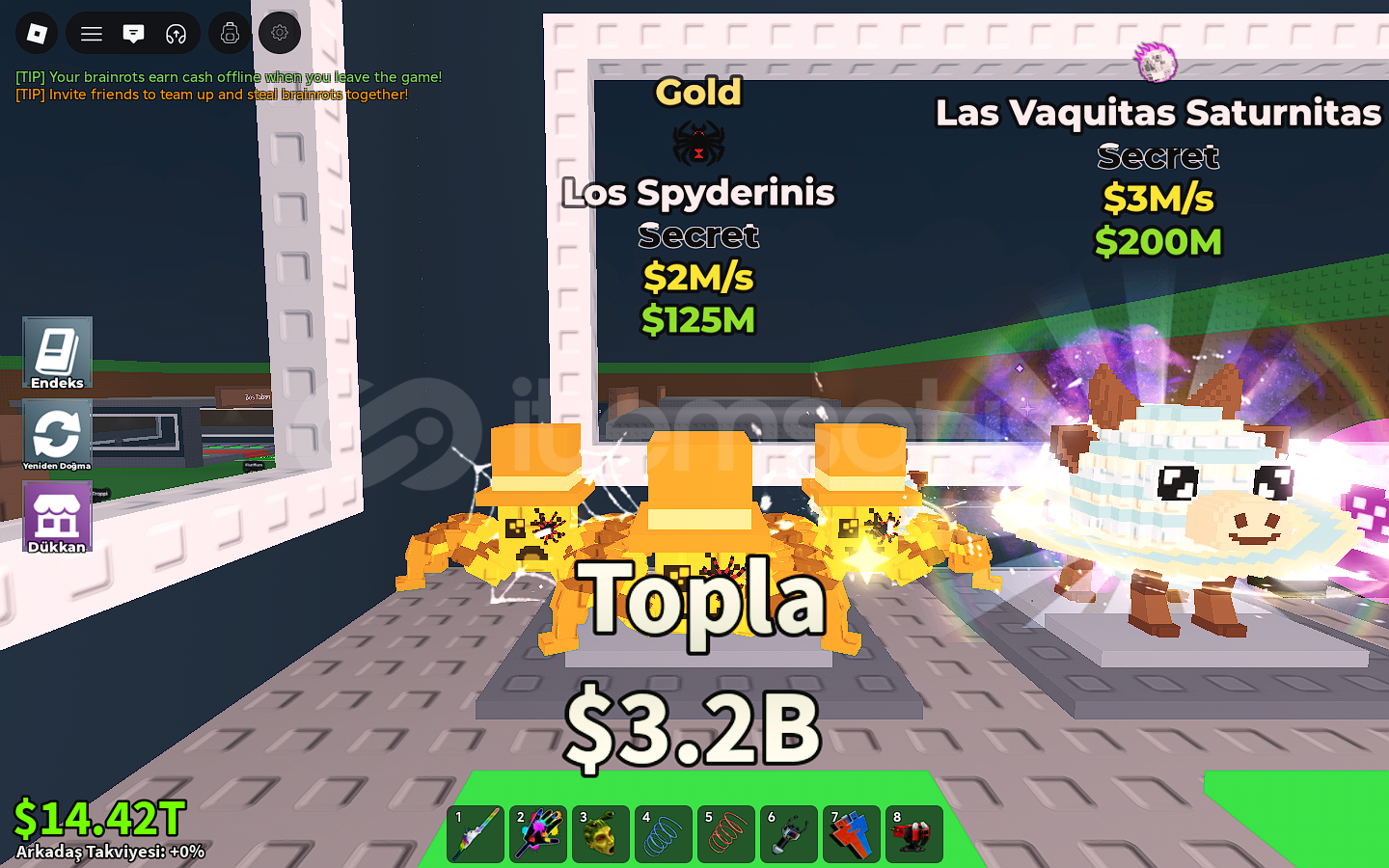 Gold Los Spyderinis / 2M  Gold Los Spyderinis / 2M