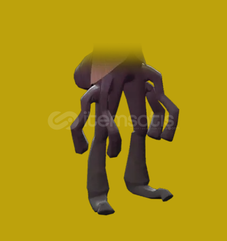 Spyder Spyder