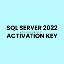 SQL SERVER 2022 STANDART Key