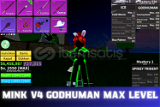 Mink V4 Godhuman Max Level Blox Fruit Hesap