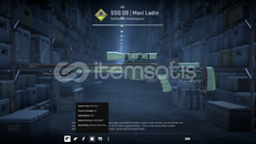 SSG 08 MAVİ LADİN FT 